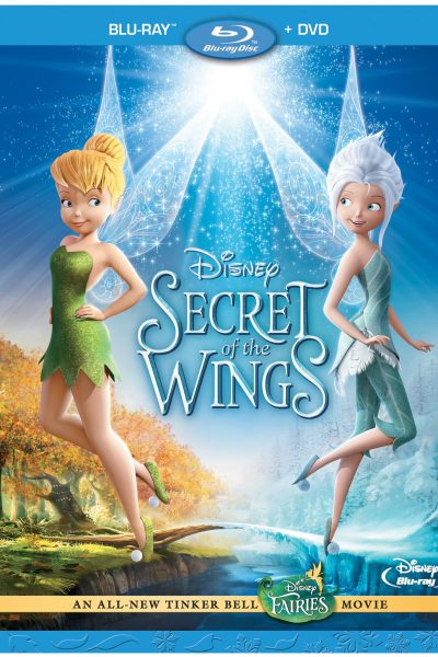 Secret of the Wings