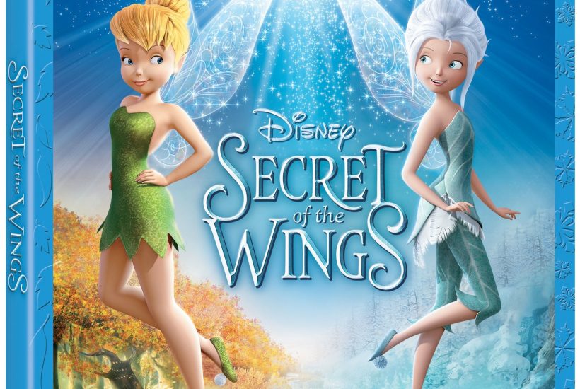 Secret of the Wings
