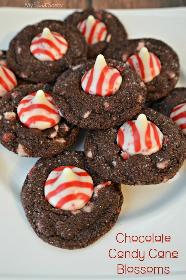 Chocolate-Candy-Cane-Blossoms