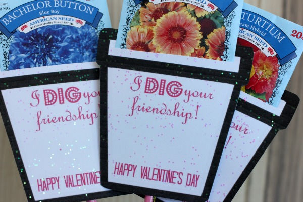 Make-Your-Own-Seed-Packet-Valentines