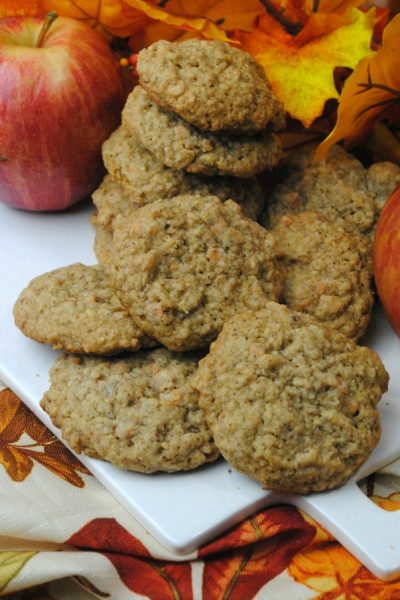 oatmeal apple spice