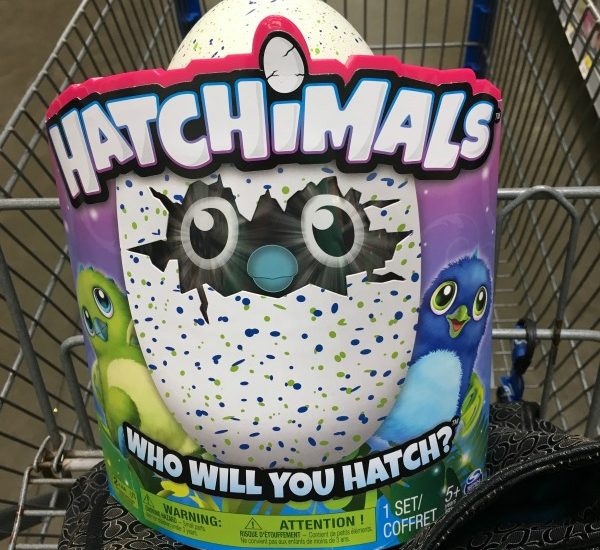 hatchimals