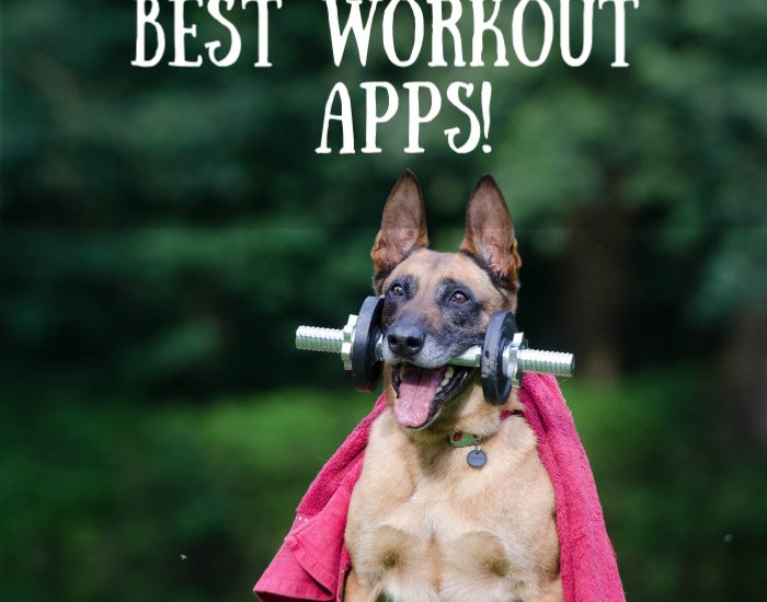 workout apps