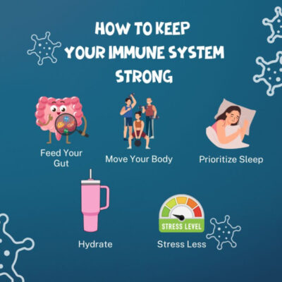 Immune system