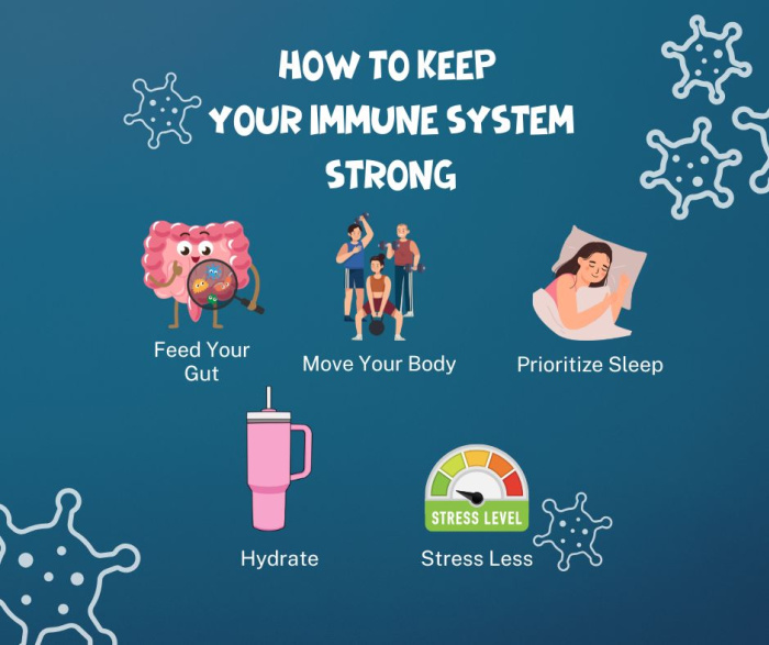 Immune system