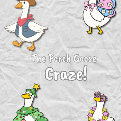 porch goose