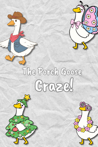 porch goose