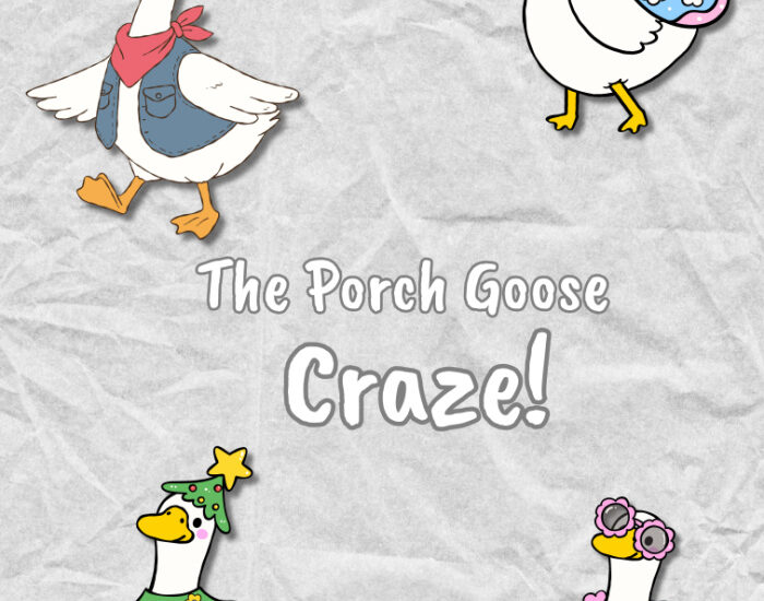 porch goose