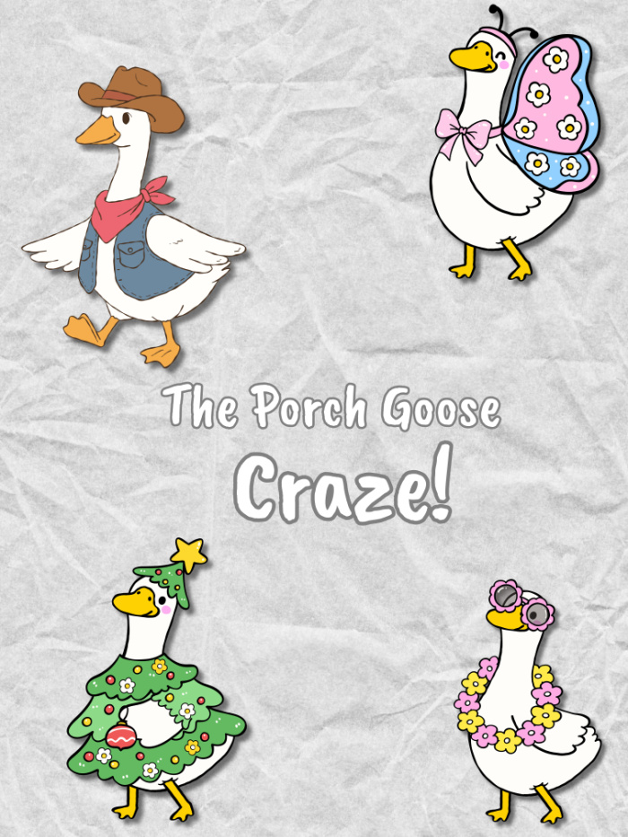 porch goose