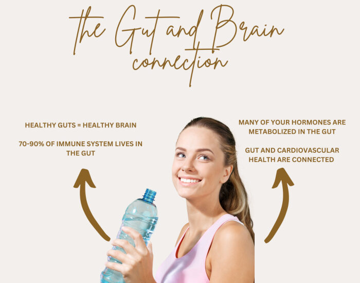 gut and brain