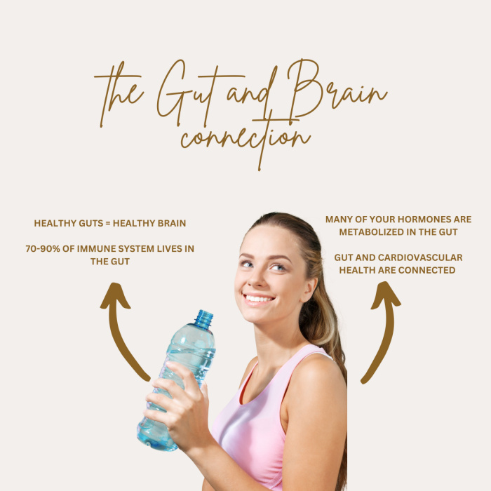 gut and brain